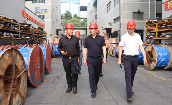 應急管理部四川消防研究所、東莞市質(zhì)檢中心一行蒞臨民興電纜調(diào)研指導